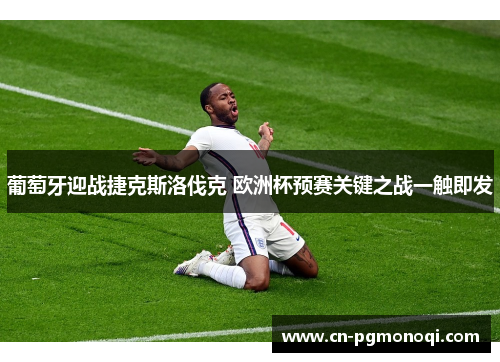 葡萄牙迎战捷克斯洛伐克 欧洲杯预赛关键之战一触即发 葡萄牙迎战捷克斯洛伐克 欧洲杯预赛关键之战一触即发